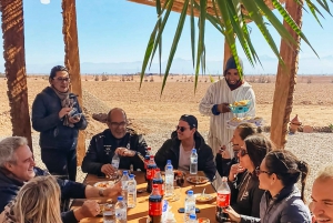Marrakech: Passeio de quadriciclo ao Palm Oasis e ao deserto de Jbilat