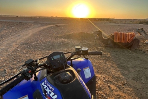 Marrakech - en tur Fyrhjulingstur till Palm Oasis och Jbilatöknen