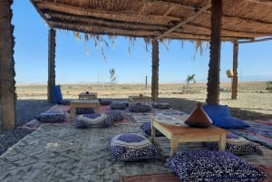 Marrakech - en tur Fyrhjulingstur till Palm Oasis och Jbilatöknen
