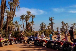 Marrakech: Quad Bike Tours to Desert and Palmeraie