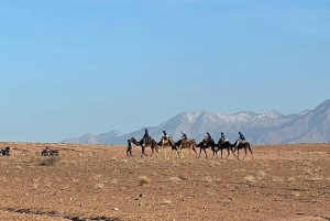 Marrakech: Agafay Desert Quad Biking with Dinner Show