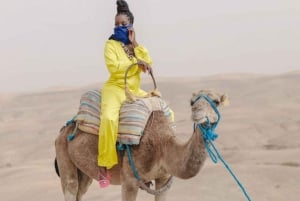 Marrakech: Kamel- og ATV-tur med solnedgang, middag og show