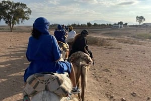 Marrakech: Kamel- og ATV-tur med solnedgang, middag og show