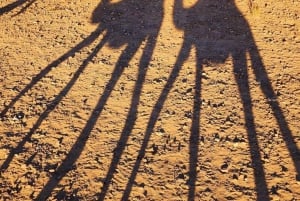 Marrakech: Kamel- og ATV-tur med solnedgang, middag og show