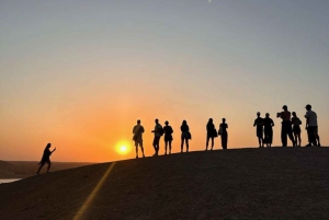 Marrakech: Kamel- og ATV-tur med solnedgang, middag og show