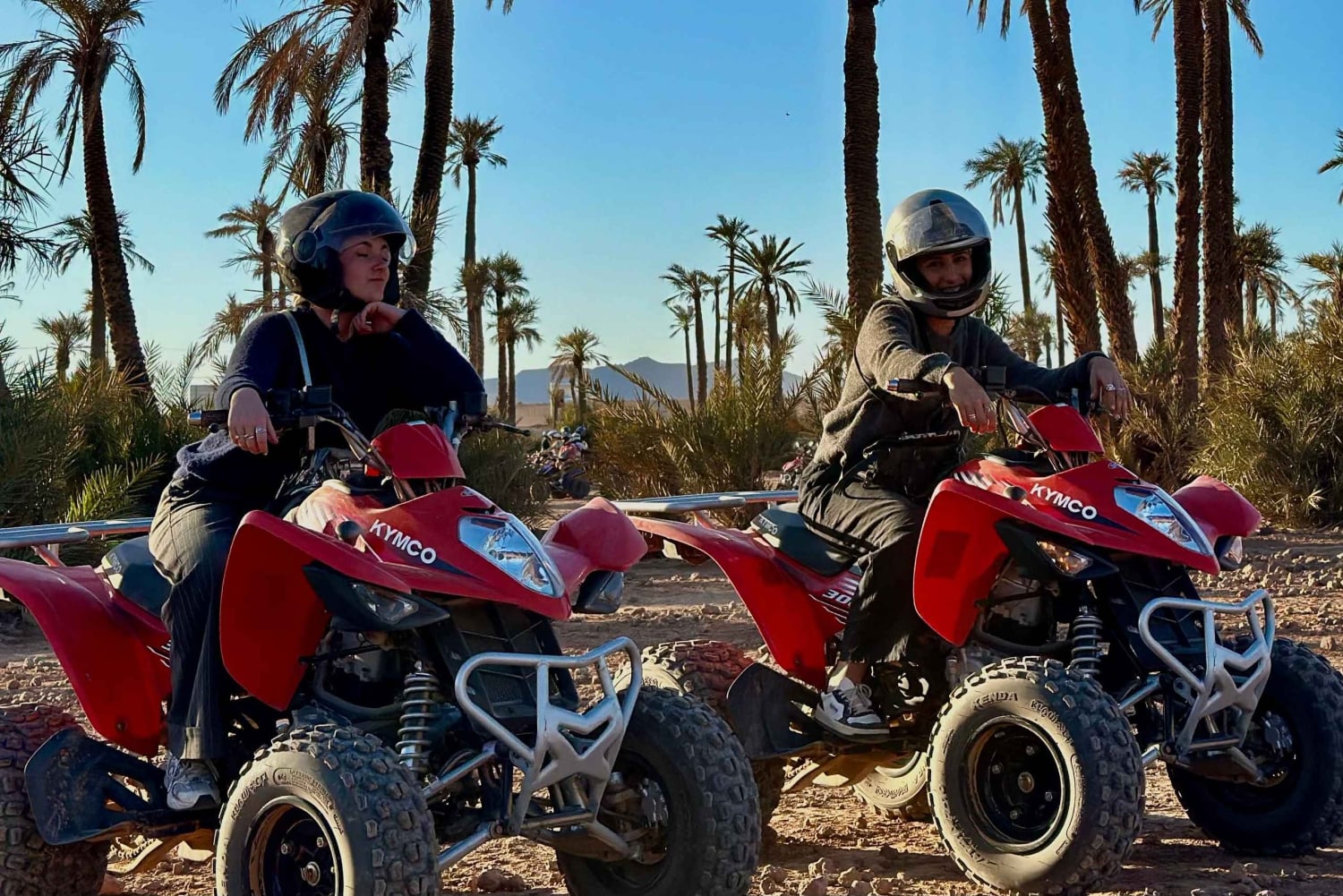 Marrakech: Quad excursion at the palm grove dunes with tea