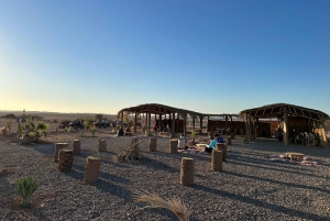 Marrakech: Quad excursion at the palm grove dunes with tea