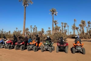 Marrakech: Quad excursion at the palm grove dunes with tea