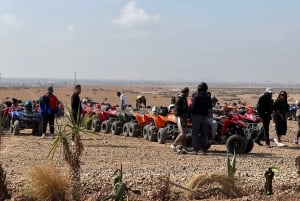 Marrakech: Quad excursion at the palm grove dunes with tea