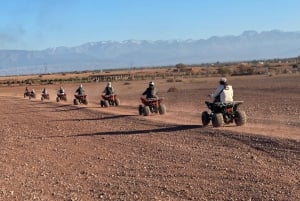 Marrakech: Quad excursion at the palm grove dunes with tea