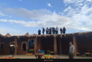 Marrakesz: Wycieczka quadem wśród palm w Marrakeszu