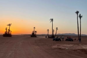 Marrakech : Quad Excursion In The Palm Grove & Jbilet Desert