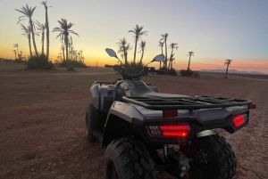 Marrakech: Excursão de quadriciclo a Palm Gove e ao deserto de Jbilets