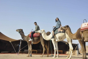 Marrakech: Quad excursie naar Palm Gove en Jbilets woestijn