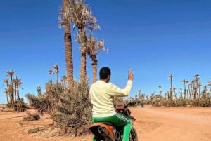Marrakech: Excursión en quad a Palm Gove y al desierto de Jbilets