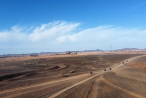 Marrakech: Quad excursie naar Palm Gove en Jbilets woestijn