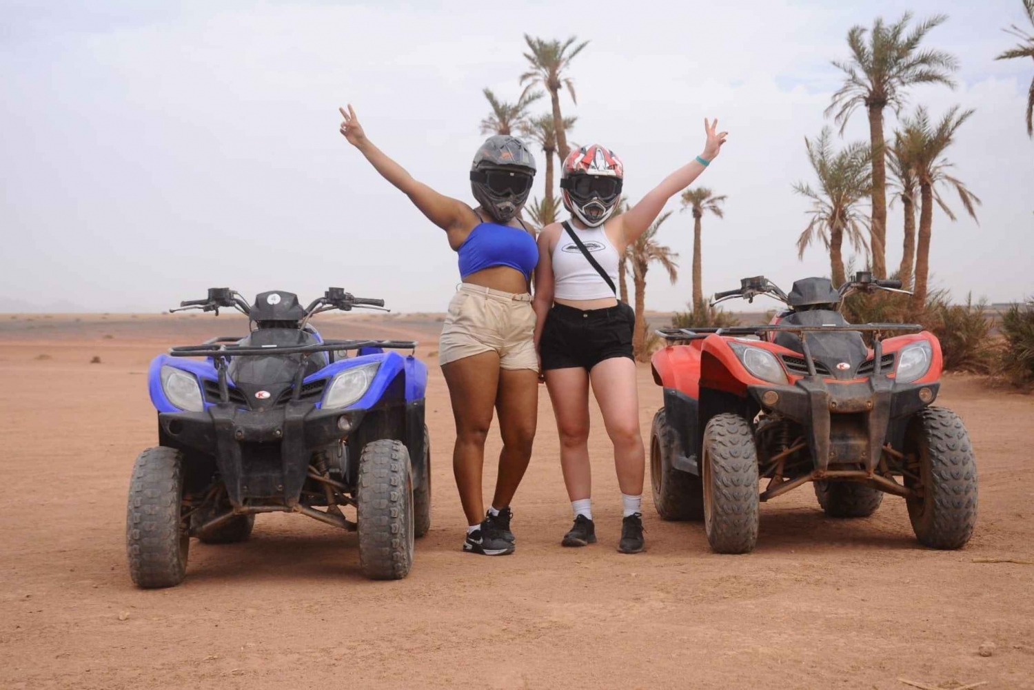 Marrakech: Quad experience in the palm grove & jbilat