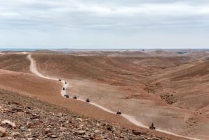 Firhjulingstur i Jbilets ørken med palmelund og basseng