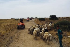 Marrakech: Firehjulstrekk i Jbilets ørken med palmelund og basseng