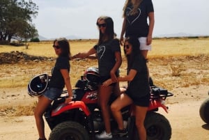 Marrakech: Firehjulstrekk i Jbilets ørken med palmelund og basseng