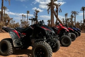 Marrakech: Quad ride at the duns of the Palmeraie with tea