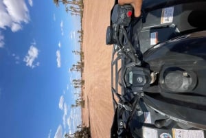 Marrakech : Quad Excursion In The Palm Grove & Jbilet Desert