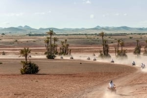 Firhjulingstur i Jbilets ørken med palmelund og basseng