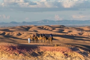 Marrakech: Quad e cammelli al tramonto e cena con spettacolo del fuoco