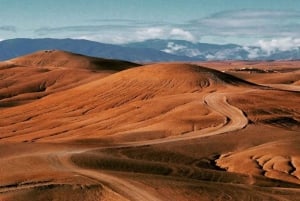 Marrakech: Quads, Camellos al Atardecer y Cena con Espectáculo Romántico