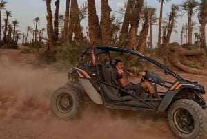 Marrakech : Kør buggy i palmelundens ørken