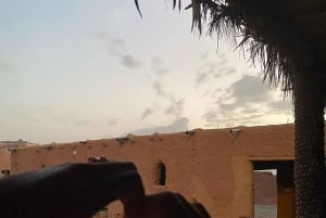 Marrakech : Kør buggy i palmelundens ørken