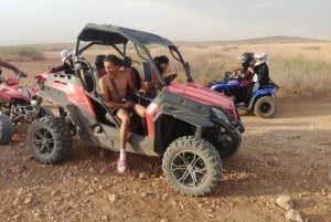 Marrakech : Kør buggy i palmelundens ørken