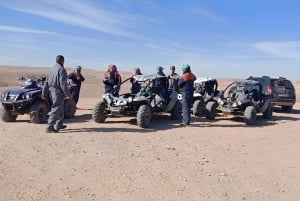 Marrakech : Kør buggy i palmelundens ørken