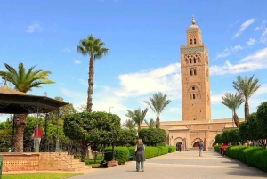 Landausflug von Casablanca nach Marrakesch