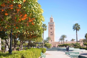 Marraquexe: Medersa Ben Youssef, Le Jardin Secret e passeio pelo souk