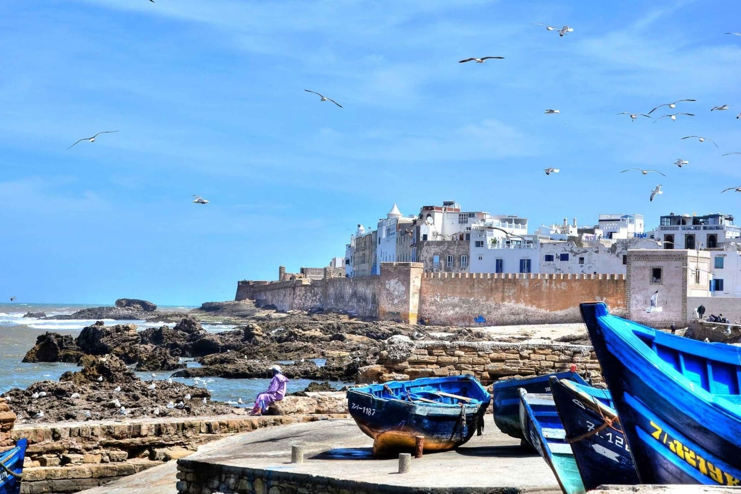 マラケシュ発：エッサウィラの海岸とメディナへの日帰りツアー（少人数制）