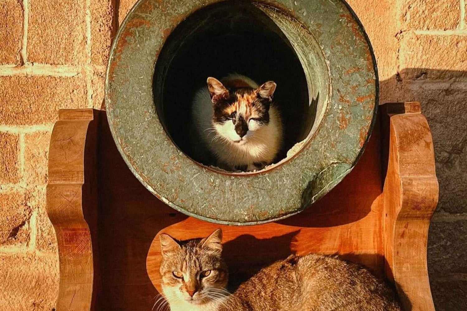 マラケシュ発：エッサウィラの海岸とメディナへの日帰りツアー（少人数制）