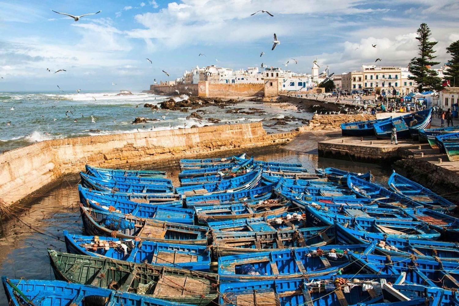 マラケシュ発：エッサウィラの海岸とメディナへの日帰りツアー（少人数制）