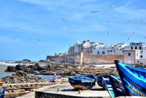 マラケシュ発：エッサウィラの海岸とメディナへの日帰りツアー（少人数制）