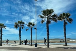 マラケシュ発：エッサウィラの海岸とメディナへの日帰りツアー（少人数制）