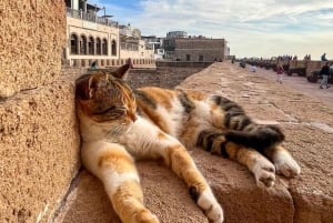 マラケシュ発：エッサウィラの海岸とメディナへの日帰りツアー（少人数制）