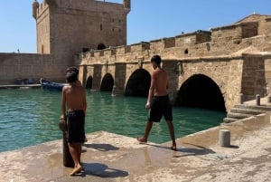 マラケシュ発：エッサウィラの海岸とメディナへの日帰りツアー（少人数制）