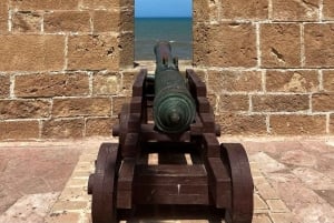 マラケシュ発：エッサウィラの海岸とメディナへの日帰りツアー（少人数制）