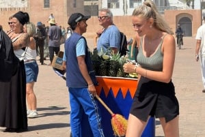 マラケシュ発：エッサウィラの海岸とメディナへの日帰りツアー（少人数制）