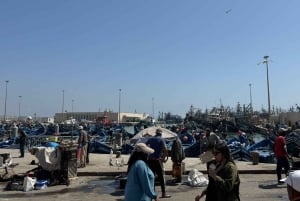 マラケシュ発：エッサウィラの海岸とメディナへの日帰りツアー（少人数制）