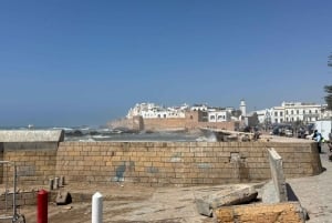 マラケシュ発：エッサウィラの海岸とメディナへの日帰りツアー（少人数制）