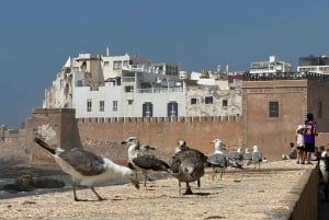 マラケシュ発：エッサウィラの海岸とメディナへの日帰りツアー（少人数制）
