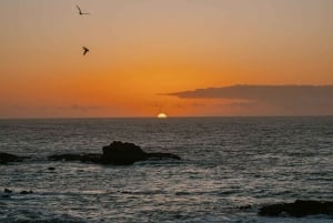 マラケシュ発：エッサウィラの海岸とメディナへの日帰りツアー（少人数制）