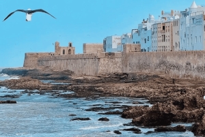 Marrakesh: Dagstur i lille gruppe til Essaouira, UNESCO og strand