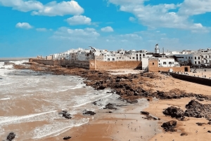 Marrakesh: Dagstur i lille gruppe til Essaouira, UNESCO og strand